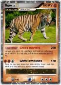 Tigre