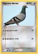 Pigeonus Merdus