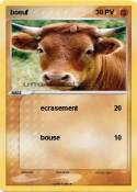 boeuf
