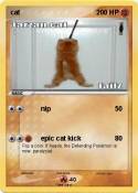 cat