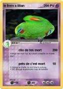 le frere a lili