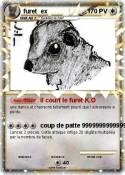 furet ex