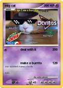 mlg cat