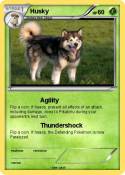 Husky