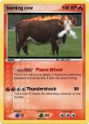 burning cow