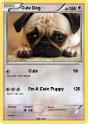 Cute Dog