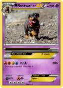 Rottwailer