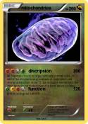 mitochondriea