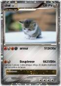 chat