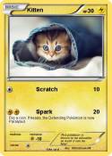 Kitten