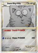 Dumd Big Kitty
