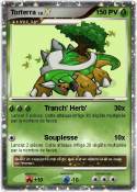 Torterra