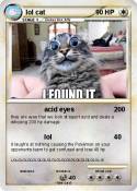 lol cat