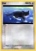 Chat