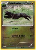 Flying Panther