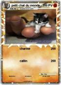 petti chat du