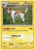 Jack-Russell