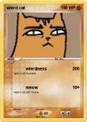 wierd cat