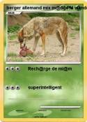 berger allemand