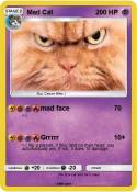 Mad Cat