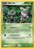 Lapin 100% bio