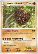 Swarm of Bees