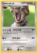 crazy cat