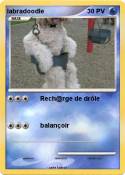 labradoodle