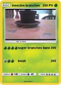 insectes branch