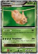hamham