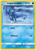 dragon arctique
