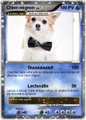 Chien mignon