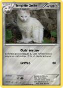 Tempête Gelée