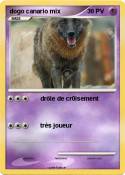 dogo canario