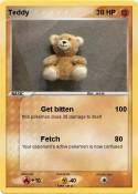 Teddy