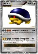 tortue