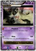 Tubby Cat