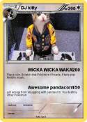 DJ kitty