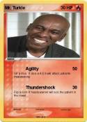 Mr. Turkle