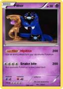 Pithor