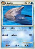 dolphin