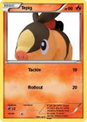 Tepig