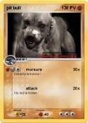 pit bull