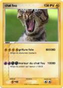 chat fou