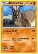 BIG FLOPPA