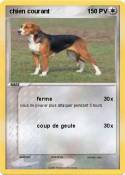 chien courant