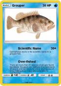 Grouper