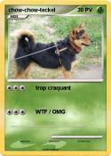 chow-chow-teckel