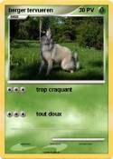 berger tervuere