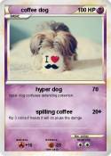 coffee dog